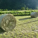La Paquerette 3* La Salle