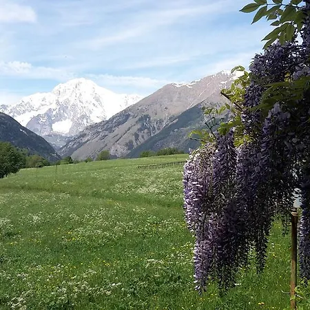 La Paquerette Отель типа 