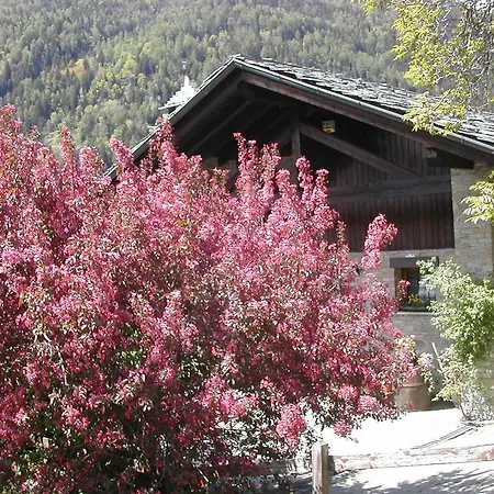 La Paquerette Bed & Breakfast *