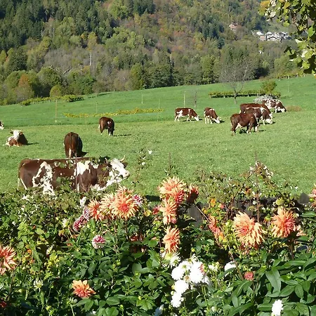 La Paquerette Bed & Breakfast *