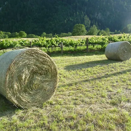 La Paquerette * La Salle