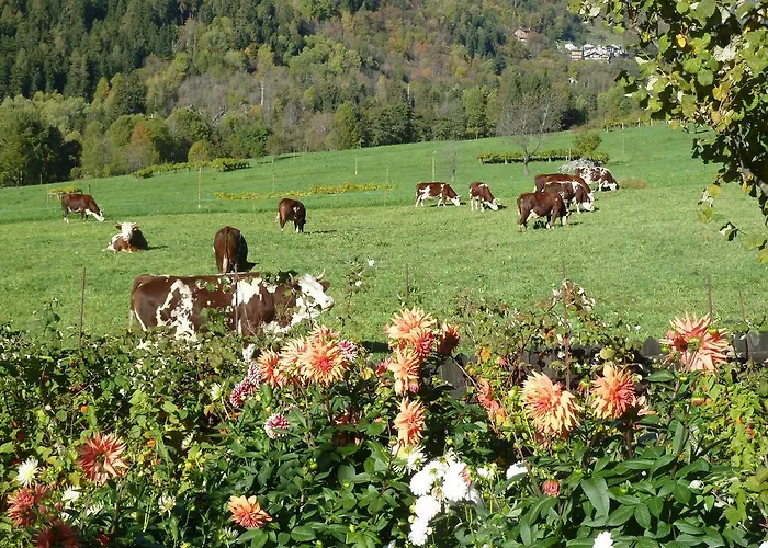 La Paquerette Panzió 3*